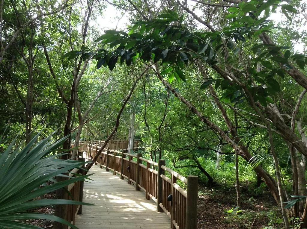 Hotel Mayan Palace Vidanta Resort Riviera Maya Puerto Morelos